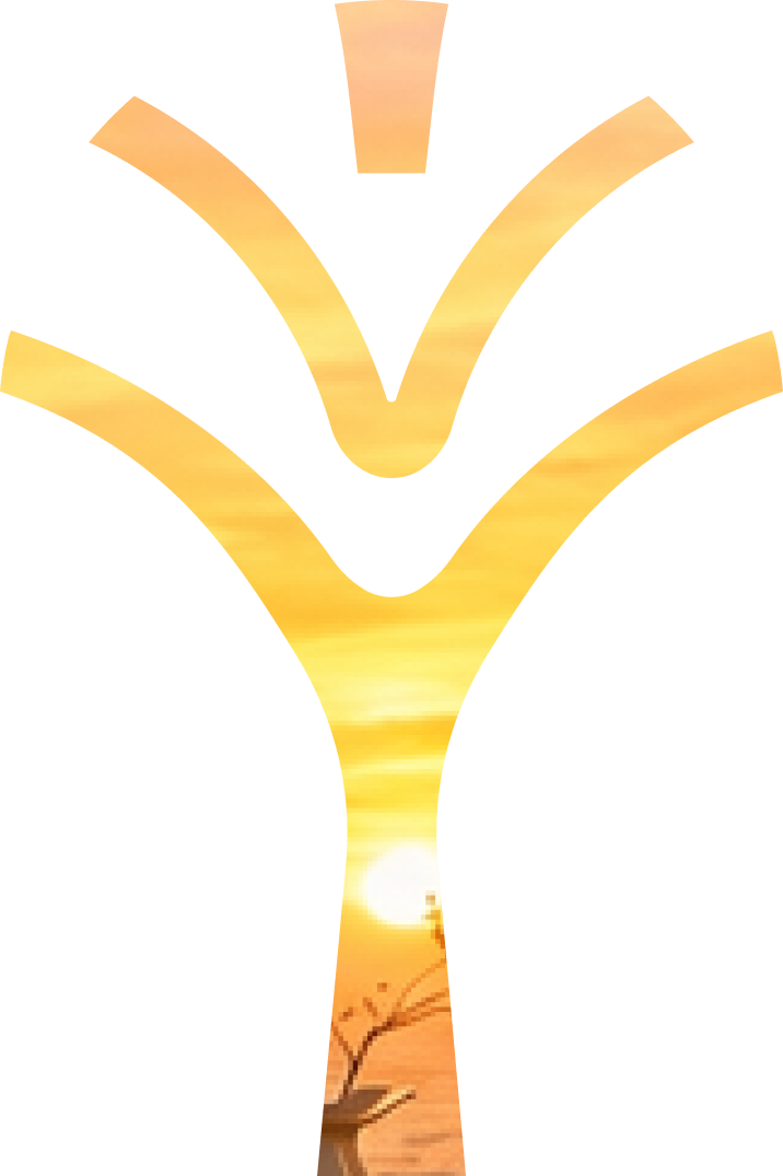 Palm symbolism